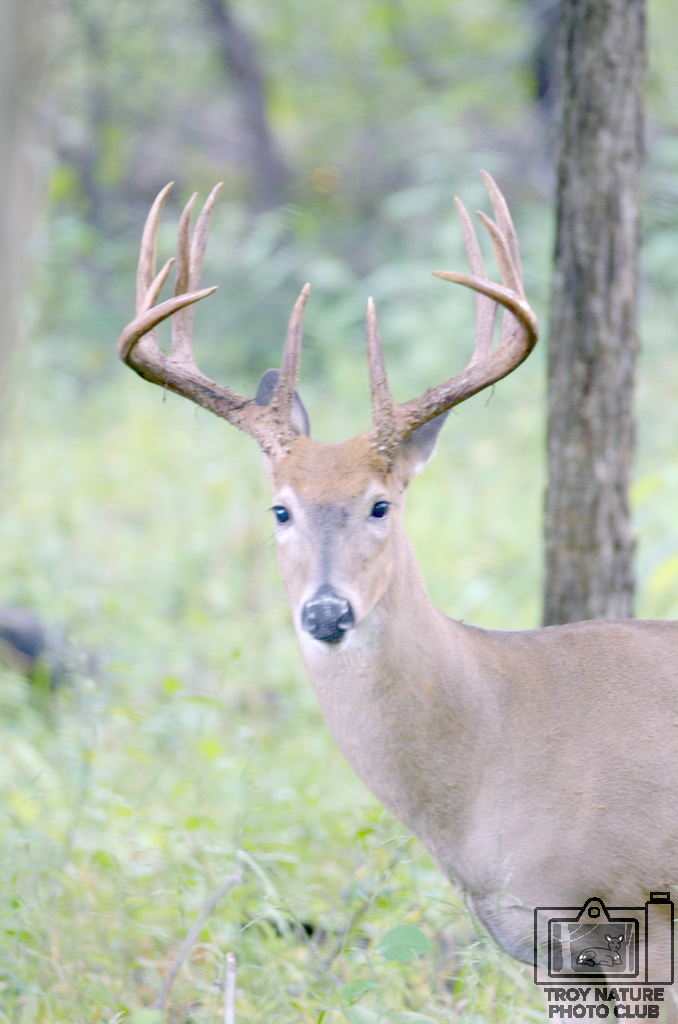 11 point_02