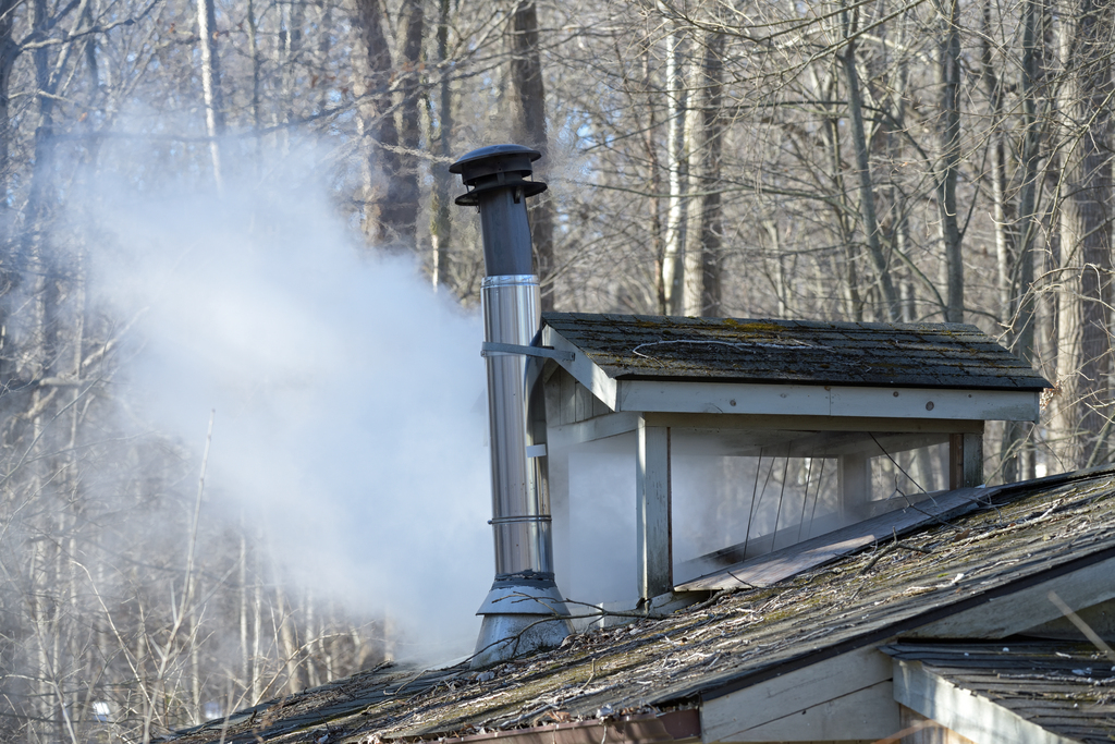 Maple Syrup Days_2