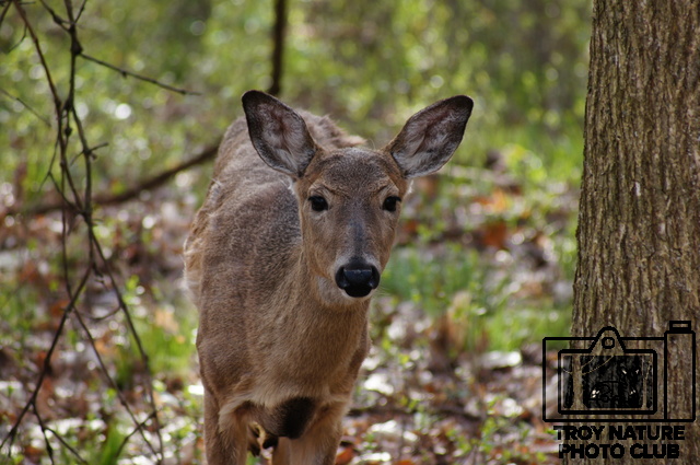 April Doe