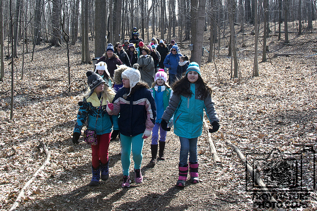 maple-syrup_028