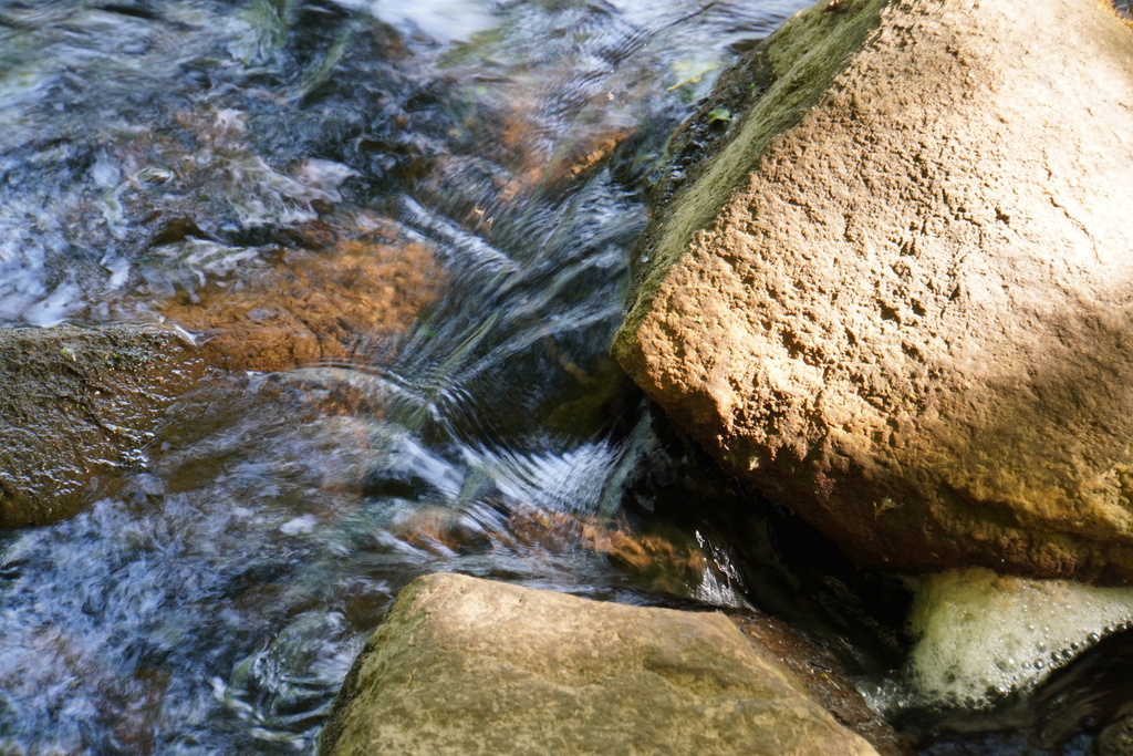 DSC02805
