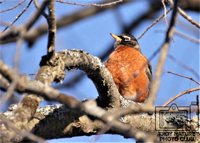 Robin-Timmer-02