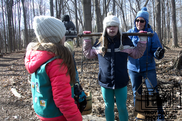 maple-syrup_014