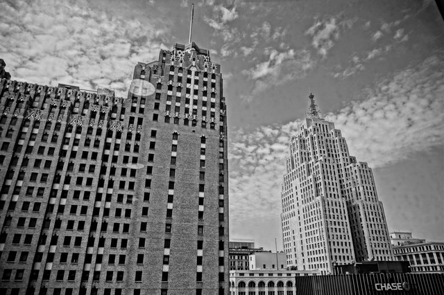 _DSC7979