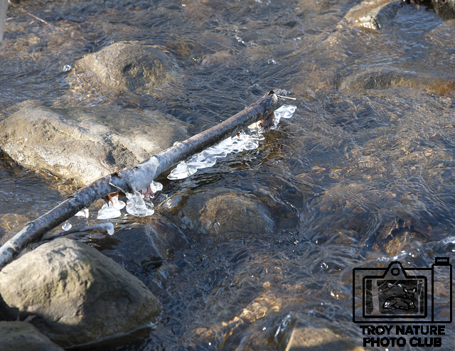 DSC_1797 PSR001c 110 x 85 stream