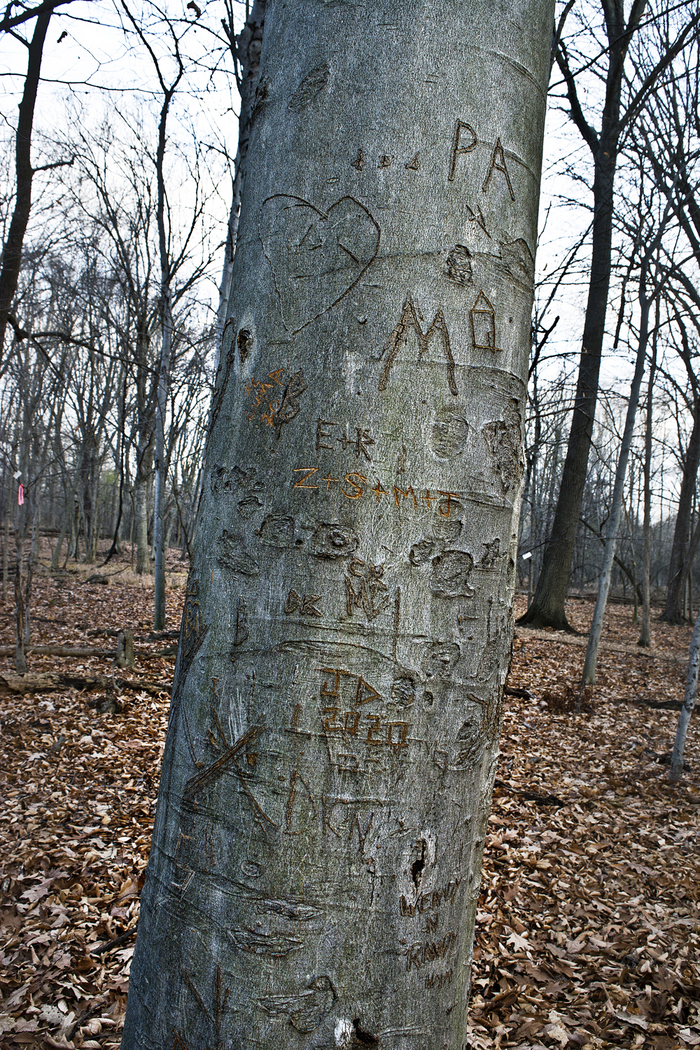 walk-december_003